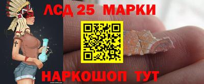 ГАЛЛЮЦИНОГЕННЫЕ ГРИБЫ Можга