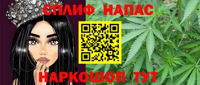 МДПВ Моздок