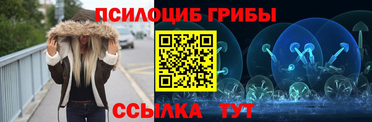 Псилоцибиновые грибы мицелий Хасавюрт